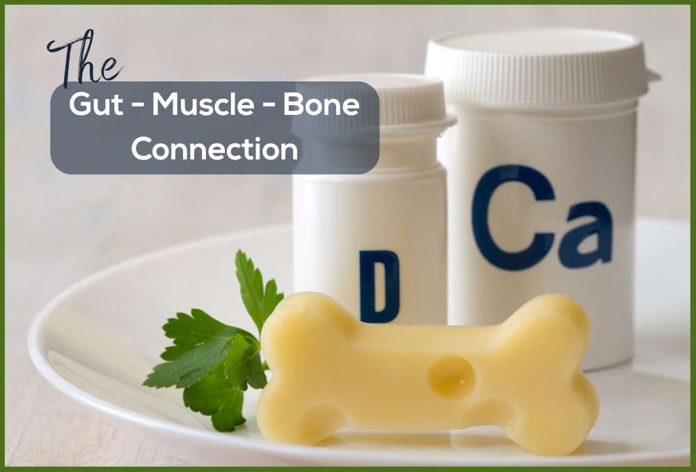 Healthy Bones